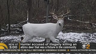 Community outraged over albino deer killed in Fayette County