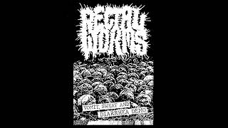 RECTAL WORMS - Vomit , sweat and diarrhea demo ( Noisecore / Gorenoise 2024 ) Emptycasketaudio