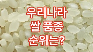 우리나라 쌀 품종 순위는?