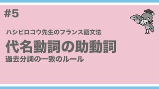 《フランス語文法》ハシビロコウ先生動画 5 【つぶやきのフランス語文法 p.133】代名動詞の助動詞