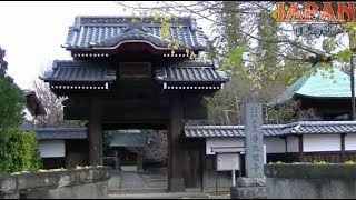 普光明寺　埼玉県新座市大和田4-13-30