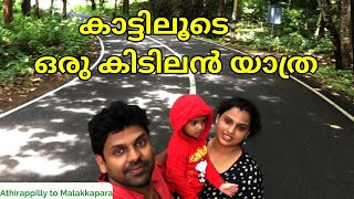 Athirappilly to Malakkappara via Sholayar | A Journey Through Forest