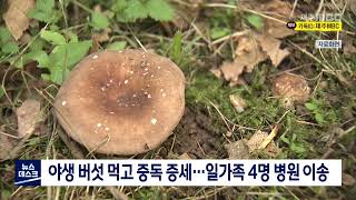 야생 버섯 먹고 중독 증세…일가족 4명 병원 이송