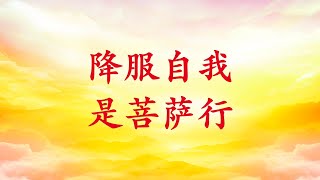 卢台长【降服自我 是菩萨行】白话佛法广播讲座 2016年12月8日 节选