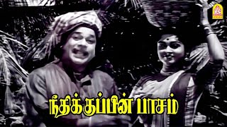 ஒரு மரத்து புளிய சேர்த்து கரைச்சிட்டியா அதான் ஒரே புள்ளிப்பா இருக்கு!|Neethikku Pin Paasam HD |M.G.R