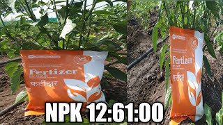 npk 12 61 00 fertilizer.12:61:00 .khat  mono ammonium phosphate