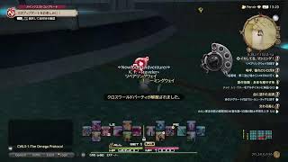 【FF14】ひよこが絶オメガ検証戦クリアするまで#36　P5練習