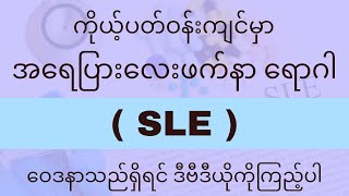 အရေပြားလေးဖက်နာရောဂါ ( SLE ) ရောဂါအကြောင်း သိကောင်းစရာများ