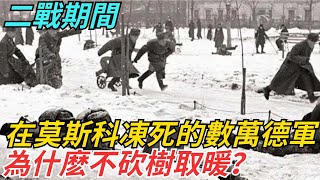 二戰期間，在莫斯科被凍死的數萬德軍，為什麽不砍樹取暖？【史話今說】#歷史 #近代史 #故事