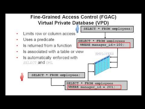 Using Virtual Private Database with Oracle Database 12c