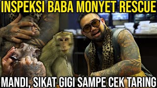 INSPEKSI BABA MONYET RESCUE. MANDI, SIKAT GIGI SAMPE CEK TARING #AudreyA #KINGOFTHEJUNGLE