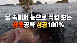 [S2.EP5 바다사냥꾼아빠] 참돔 공략하는 100프로 필승전략 물속에서 직접보여드려요 | 스피어피싱해산물 프리다이빙 해루질 작살낚시 바다낚시 바다낚시 참돔 낚시법