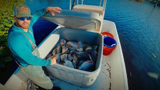 Cast Netting Invasive Florida Tilapia for Cash: the Breakdown