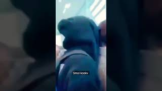 Remember when Jk kissed Tae at airport on his birthday😍☺💜💚🌈...happy V Day💚💜