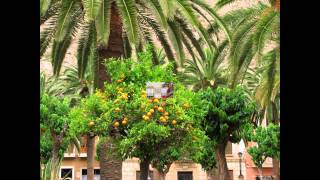 Video Turístico de Orihuela