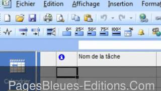 Le management de projet - Mise en oeuvre avec MS Project 2007