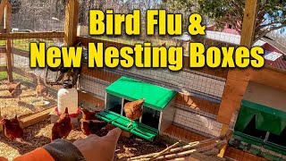 Bird Flu Update New Outbreaks - New Nesting Boxes