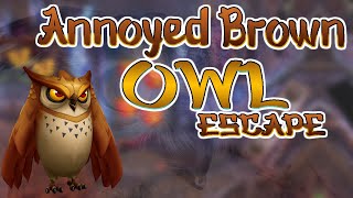 G4K Annoyed Brown Owl Escape Game