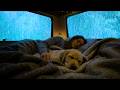 Fall Asleep in Minutes with Heavy Rain on a Warm Car Roof in the Forest