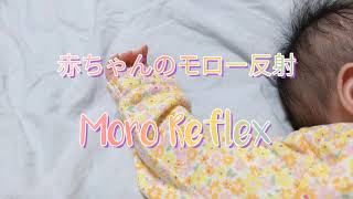 赤ちゃんのモロー反射〜Moro Reflex〜