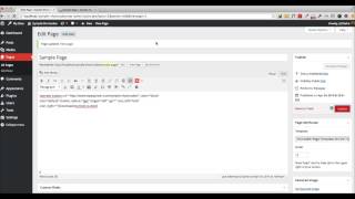 Symple Shortcodes WordPress Plugin