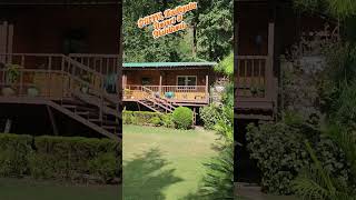 GMVN Kaudiyala resort # Rishikesh