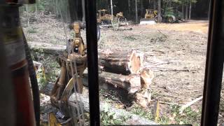 234 Tigercat handling hard wood!