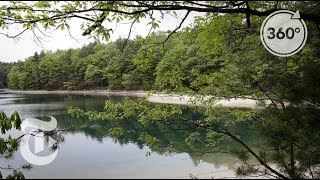 Reflect On Henry David Thoreau’s Vision Of Walden Pond | The Daily 360 | The New York Times