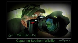 Capturing Southern Wildlife  -