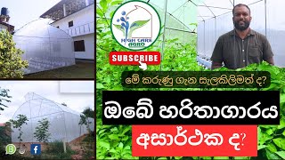 Is Your Greenhouse Failing? | Polytunnel Srilanka | ඔබේ හරිතාගාරයත් අසාර්ථක වෙලා ද? | පොලිටනල්