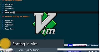 Sorting Data with Vim