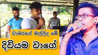 Diviyama wage (දිවියම වාගේ) චාමරගේ මල්ලිද මේ