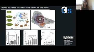 E17.1 - Chromosomal Instability and aging