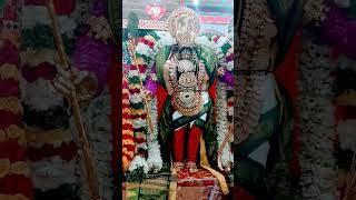 ஸ்ரீ தேவி பூதேவி சமேத ஸ்ரீ ரகுபதி நாராயணப் பெருமான் ( ஸ்ரீ ராமர் அலங்காரம் )