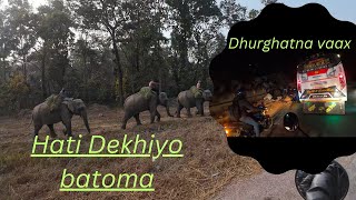 Pokhara Jada hathi dekhiyo🦣🦣🦣