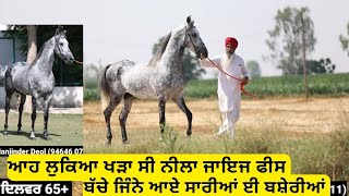 ਇਸ ਨੀਲੇ ਨੂੰ ਕੋਈ ਨਹੀਂ ਜਾਣਦਾ,, ਮੱਝੂਕੇ ਲਾਇਨ,,7 ਬੱਚੇ ਸਾਰੀਆਂ ਈ ਬਸ਼ੇਰੀਆਂ,,ਸੋਹਣਾ ਦੇਖੋ ਕਿੰਨਾ