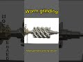 Worm grinding wheel