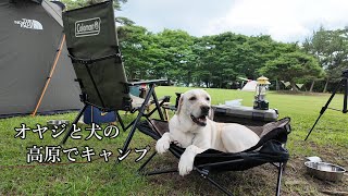 A man and his dog go summer camping in search of coolness!: Jinsekikogen Tiergarten