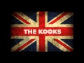 The Kooks - Carried Away (Bonus Track) - Junk of the Heart (Lyrics in description) hq