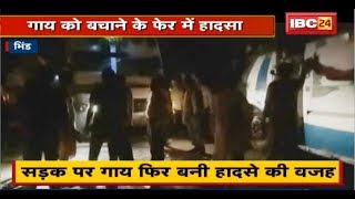 Bhind Accident News: Tanker और Bus की टक्कर | गाय फिर बनी हादसे की वजह | Driver समेत 5 लोग गायल