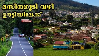 Ooty Masinagi Travel | മസിനഗുടി വഴി ഊട്ടി | Masinagudi | Ooty | Solo Drive | Solo Trip | #masinagudi