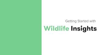 Wildlife Insights Tutorials - Roles \u0026 Inviting Team Members