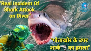 Real Incident Of Shark Attack On Sat Diver.