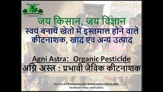 Agni Astra, Organic Pesticide |अग्नि अस्त्र , एक प्रभावी जैविक कीटनाशक