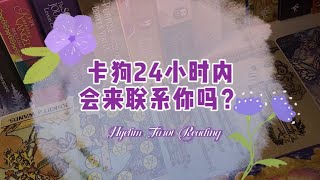 HeiLim 塔羅占卜 | 卡狗24小时内会来联系你吗？/指引建議/Timeless pick a card.