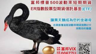 讓黑天鵝成為你的金雞母  VIX期貨ETF12/19登場