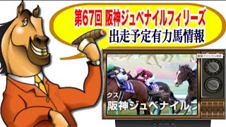 第67回 阪神ジュベナイルフィリーズ 2015 有力出走馬情報 及び TARGET ZI値付き仮出馬表！