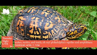 Snakes, Turtles, and Toads, Oh My! Philadelphia’s Reptiles and Amphibians