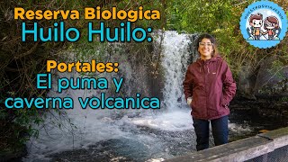 🌲✨ Explorando Huilo Huilo: Portal El Puma y Cavernas Volcánicas 🌋🐾