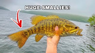 Bed fishing for HUGE smallies in the Quabbin Reservoir! (Best fishing EVER!)